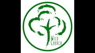 Wild Church - Dust And Earth