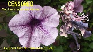 The special feature of the foot soldier