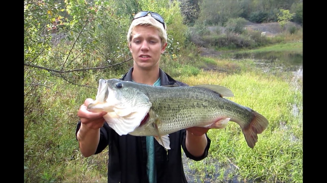 Pond fishing BIG Bass 