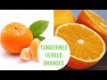 Tangerine vs Oranges | Key Differences and Similarities