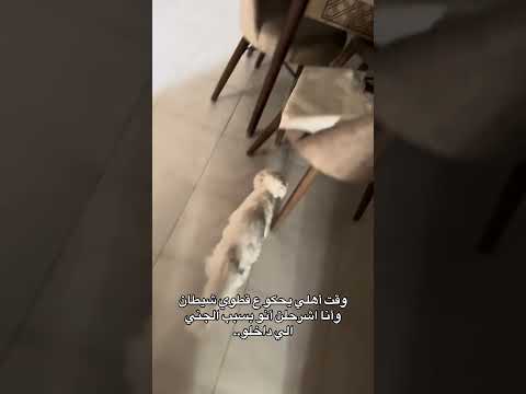 اهلي بدهم ارمي سيف     