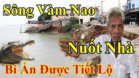 Tiết Lộ Bí Ẩn Sông Vàm Nao : Nuốt Nhiều Ngôi Nhà Thợ Lặn Bỏ Nghề