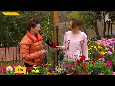 #ახალიდღე ყვავილების გამოფენა ბოტანიკურ ბაღში