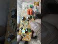 bass travel boardreview and details.#shorts