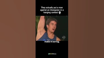 Man vs Beast In a Hanging Contest 😯