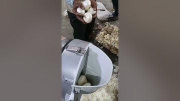 Onion Slicer by by Mahatma Brijmohan Techniclas, India