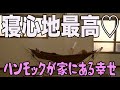 誰でも簡単！自立式ハンモック！ベッドを捨ててしまった男【toymock】