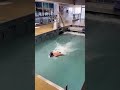 ELITE Swimming Training🏊🏼‍♂️😱