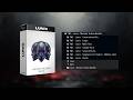 LUNIX | Melodic Techno Sample Pack - Kits , Serum Presets & Templates | Inspired by Anyma ,Afterlife