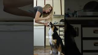 "THE HIDDEN KEY TO A LONGER, HAPPIER LIFE FOR YOUR DOG" #Short Click my Bio for a must see video