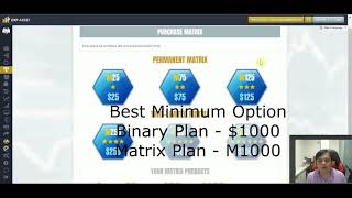 Exp Asset   Simple Understanding on How to Get Started