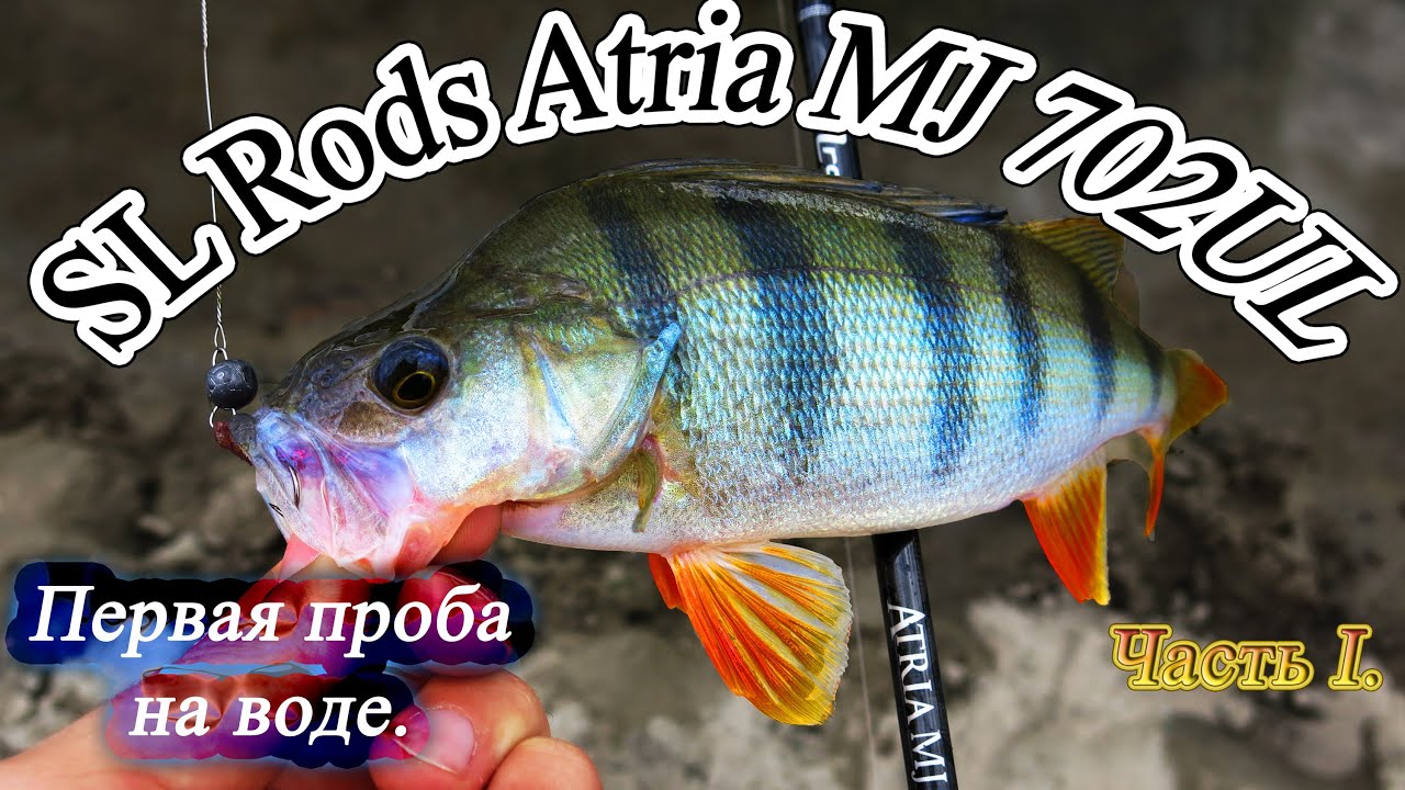 Спиннинг SL Rods Atria MJ 702UL. Первая проба на воде. Часть 1я. Окунь, микроджиг осенью.