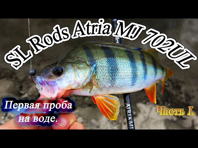 Спиннинг SL Rods Atria MJ 702UL. Первая проба на воде.