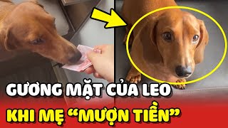 Lui Théo - Gương mặt LO LẮNG của Leo khi bị mẹ hỏi MƯỢN TIỀN 😂 | Yêu Lu