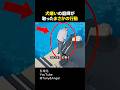 犬嫌いの庭師が取ったまさかの行動#shorts#感動する話#感動#ほっこりする話#ほっこり#shortsvideo
