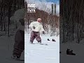 グラトリ【FNTC rider：佐伯直人】使用ボード：TNTR（ティーエヌティーアール）
