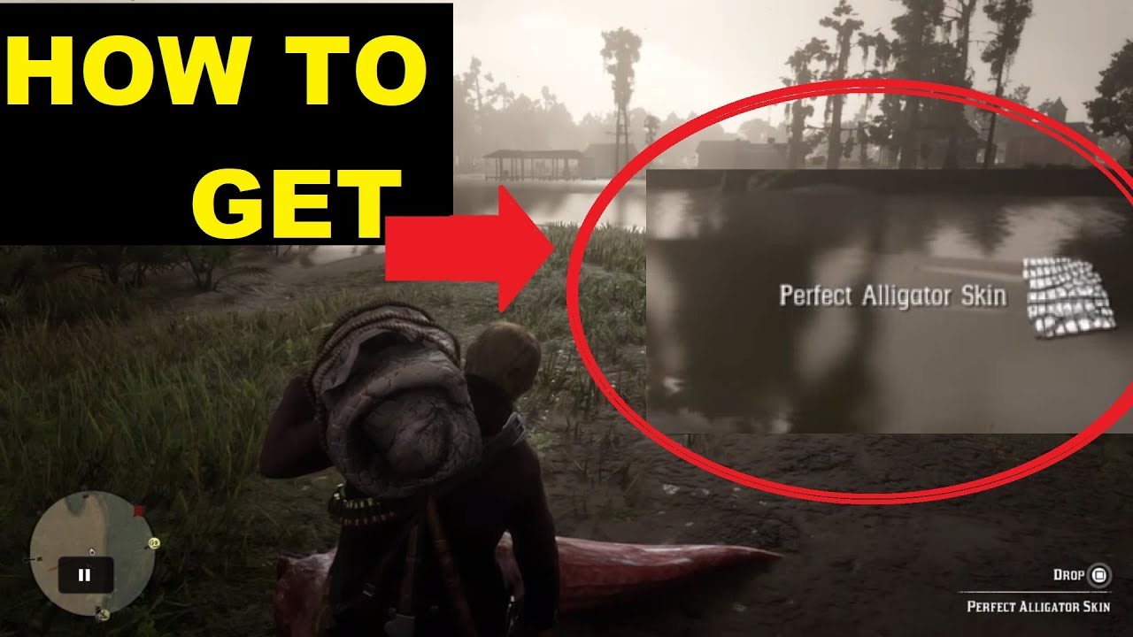 How To Get Perfect Alligator Skin Rdr2 How to get perfect alligator pelt /skin | Red dead redemption 2 - YouTube