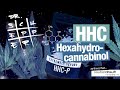 Hhc hexahydrocannabinol 11 folge dr schepper antwortet