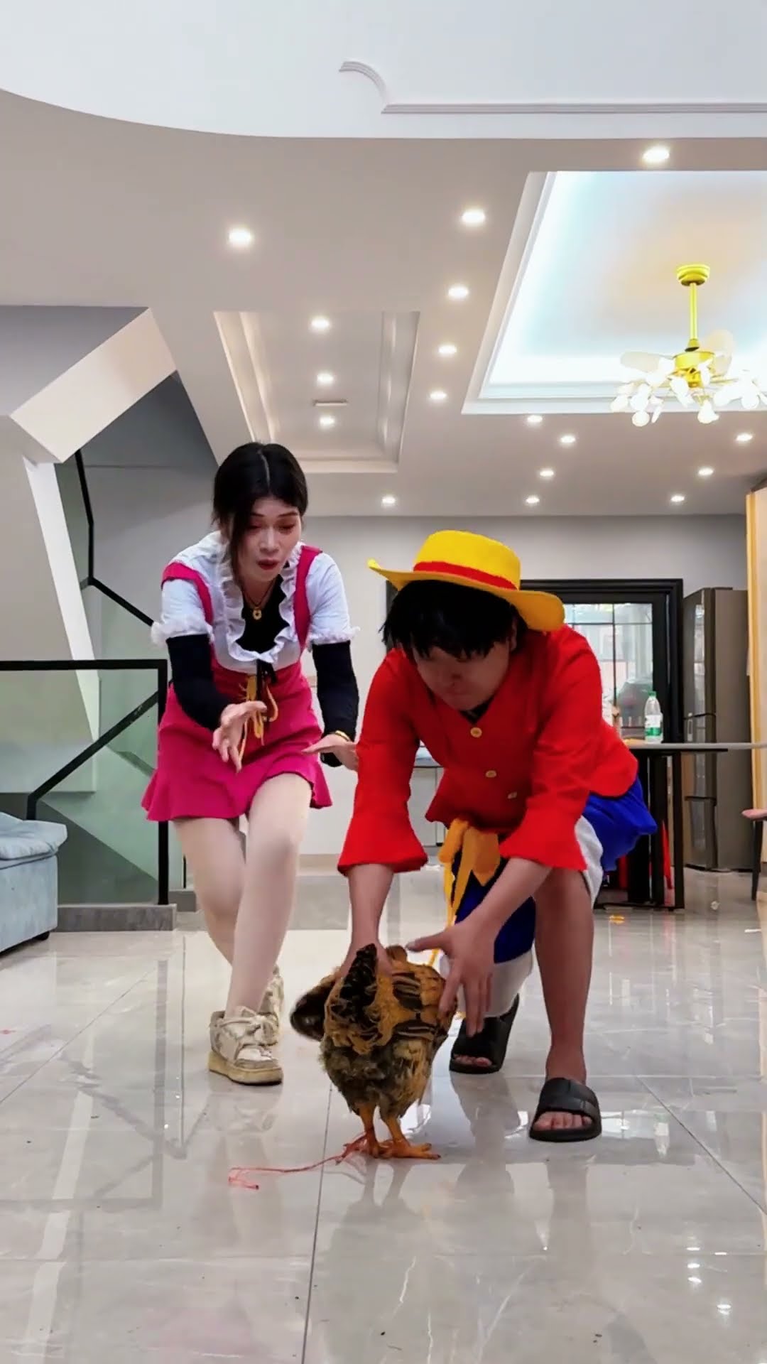 这个鸡成精了#海贼王 #路飞