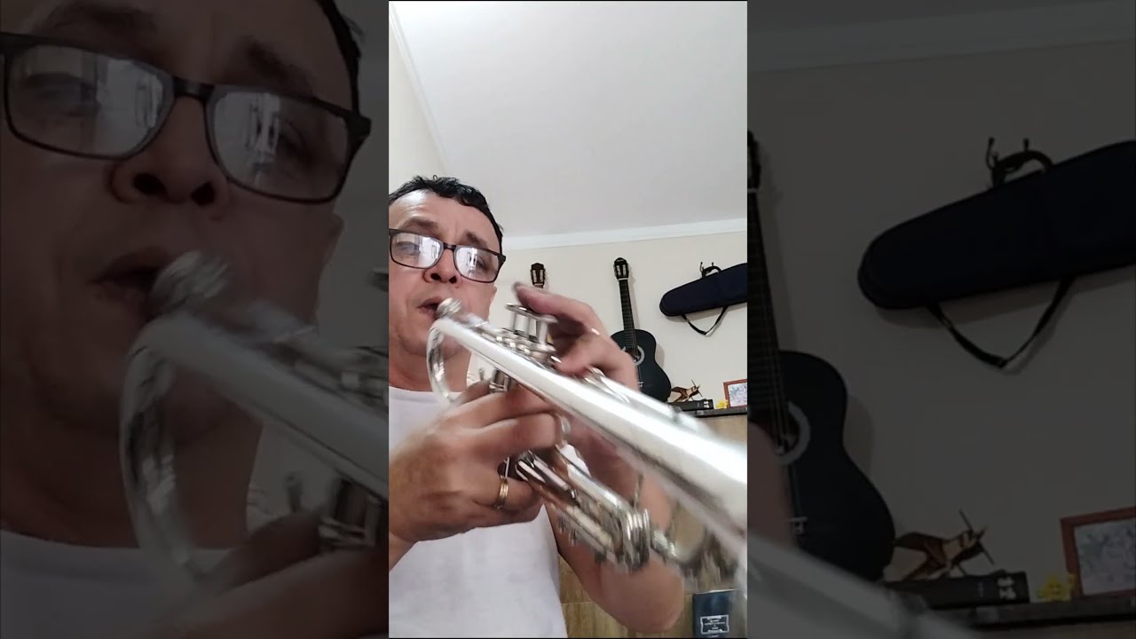 Vincent🎺 Bach copy 190 Stradivarius sib🎺Jcs Inst ZAP