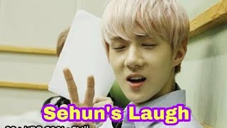 Sehun ketawa / Sehun's laugh compilation
