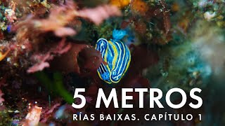 5 METROS Rías Baixas. Capítulo 1