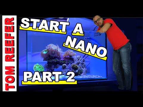 Start A Nano Reef /Part 2  - NO CYCLE  - (QUICK AND EASY METHOD)