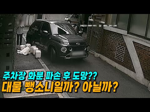 비록 화분이지만 연락처도 남겨 놓지 않고 도망갔는데 대물 뺑소니가 <strong>아니라구요</strong>?