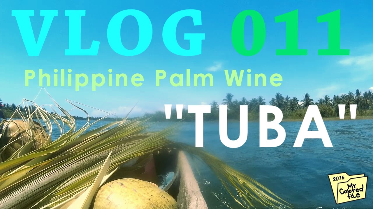 Travel Earth Now! Philippines Bicol Manamok TUBA (Philippine
