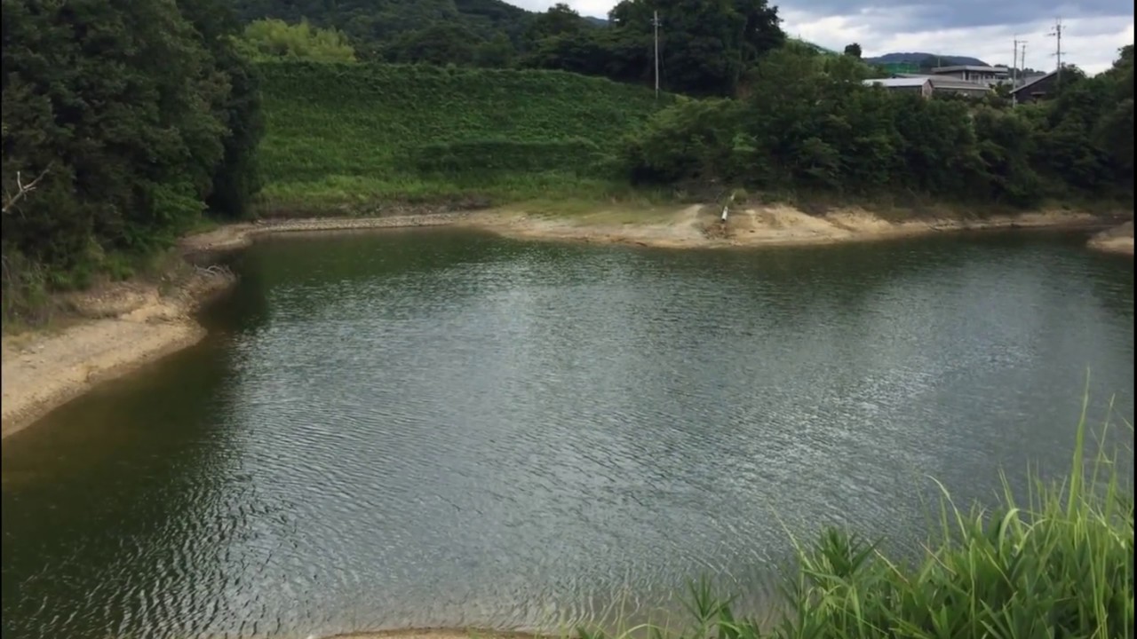 和歌山県紀の川市編 野池で気軽に親子やカップルでバス釣り ポイント紹介 地図付き Youtube