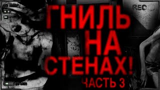 ГНИЛЬ НА СТЕНАХ! Часть 3. Страшные истории на ночь. Мистические истории.