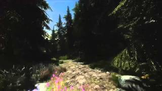 R9 Nano Graphical Artifacting - Skyrim