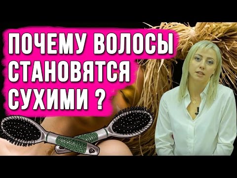 Почему волосы сухие ? Как ухаживать за сухими волосами? Восстановление волос