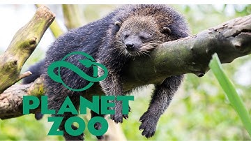 Binturong Habitat Speed build: Planet Zoo