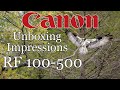 Canon RF 100-500mm Telephoto Unboxing & Initial Impressions   4K