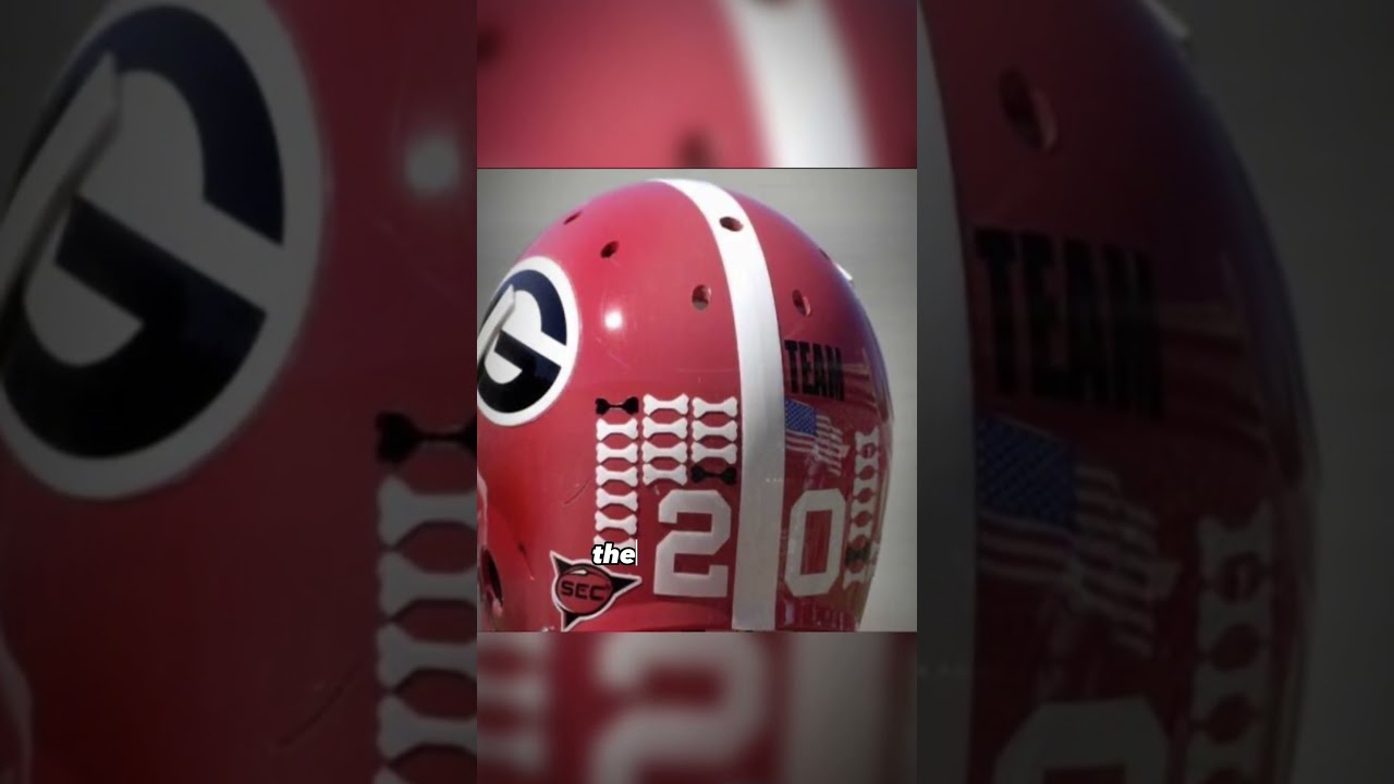 hjc 171 helmet i71 NIEL