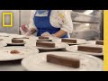 Disney Cruise Line Operations and Staff