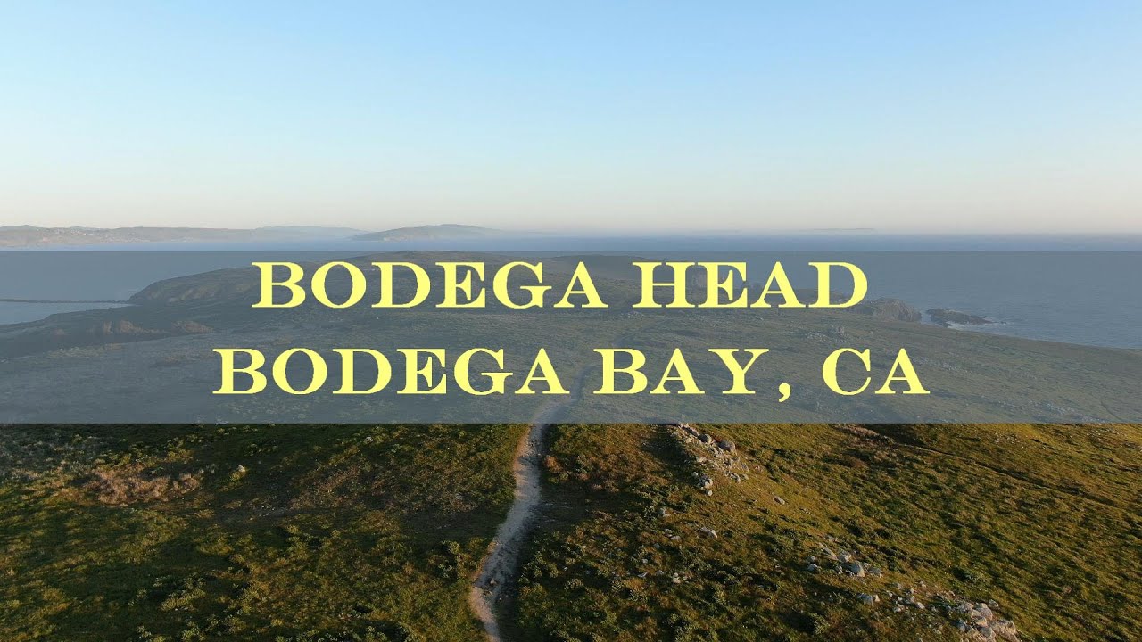 Bodega Head  | 4k Drone Footage | Sonoma Coast