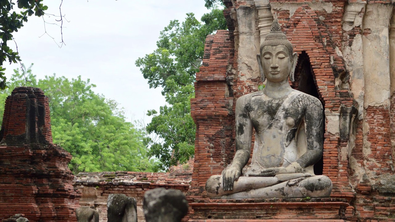 PreFrontal cortex: the control tower of the Brain - APS Video Contest Entry