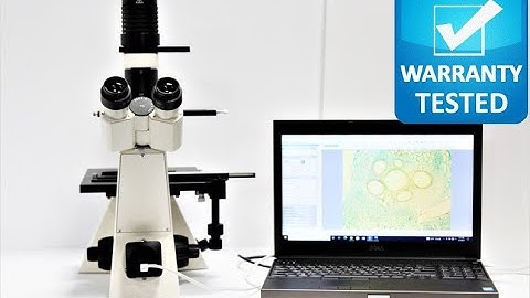 Zeiss Axiovert 40C Inverted Phase Contrast Microscope Pred Axio Vert.A1 [BOSTONIND] - 30326