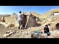 Building a small house for chickens in the heart of nature with love and effort