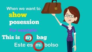 Possessive adjectives in SPANISH