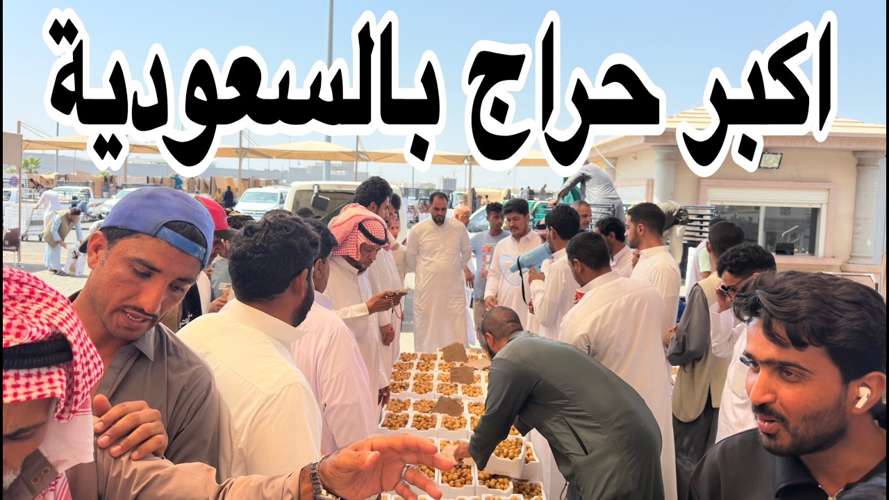 🔴 اكبر سوق للتمور موسم ١٤٤٧روثانة والبرني والعجوة رخيصة جدا