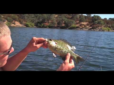 Lake Amador - Paris' Angling Epic - EP01