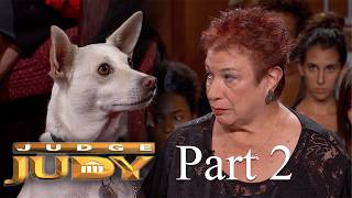 Download lagu Who Owes For Vet Bills after Felix Was Attacked? | Part 2