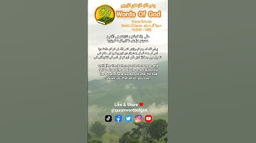 Quran Kareem Surah Al Imran سورة آل عمران V: [151 - 152] With Urdu And English Translation #quran
