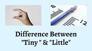 Difference Between Tiny and Little | Unraveling the Secret Distinctions Between Tiny and Little