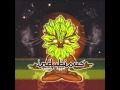 Disillusionize - Indubious