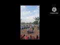 Rajasthan dance horse dance subhash dhadhariya official viralviral 2023