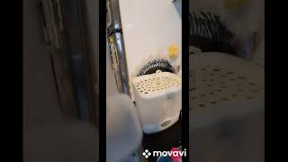 Chicco Strelize Makinesi En Basit Nasıl Kullanilir
